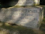 image of grave number 171905